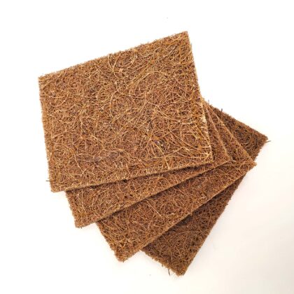 Coco-Scrub pad