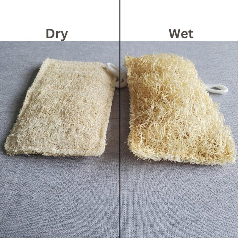 Extra-Large Natural Loofah Scourer – Body Scrub, Dish Cleaner, and Household Scrub Pad - Image 3
